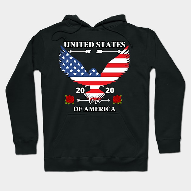 UNITED STATES OF AMERICA Hoodie by Grishman4u